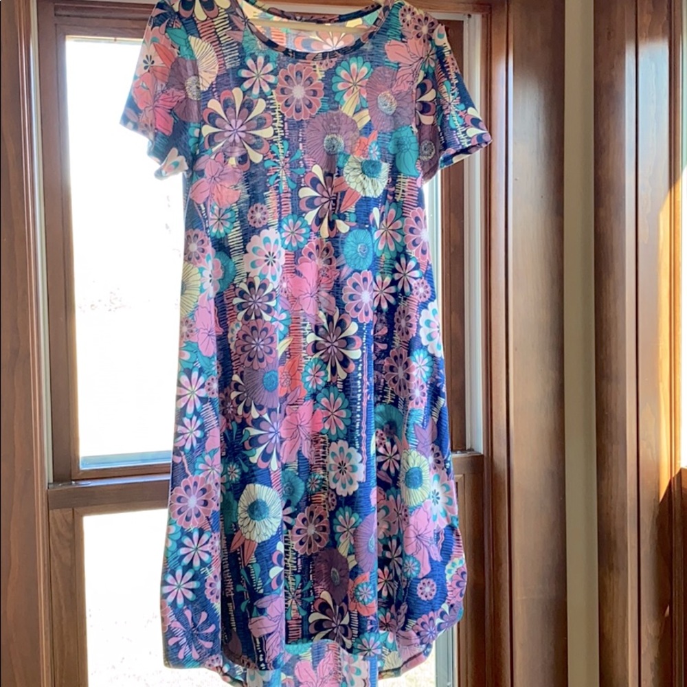 LulaRoe Carly Dress